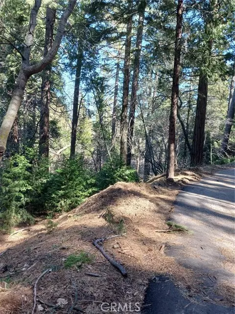 Cedarpines Park, CA 92322,687 Spring DR