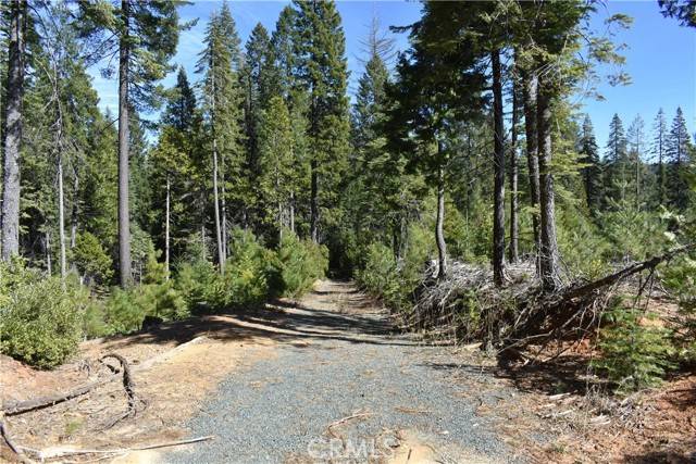 0 Juniper LN, Strawberry Valley, CA 95881