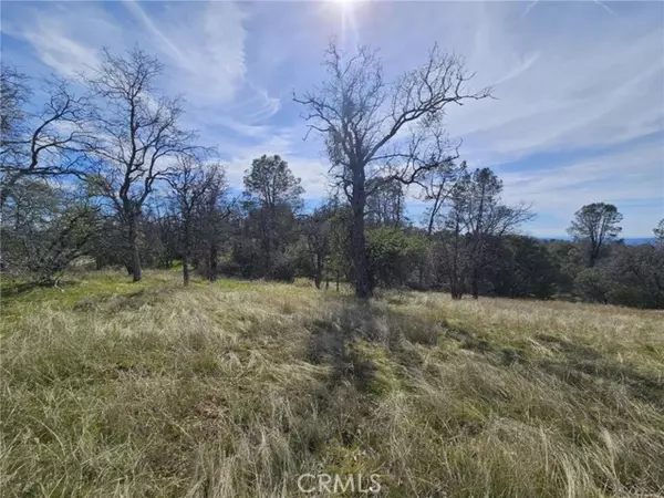 9 .94AC Old Hickory LN, Coarsegold, CA 93614