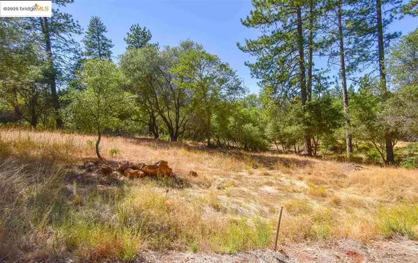 Sonora, CA 95370,Par B Sawmill Flat