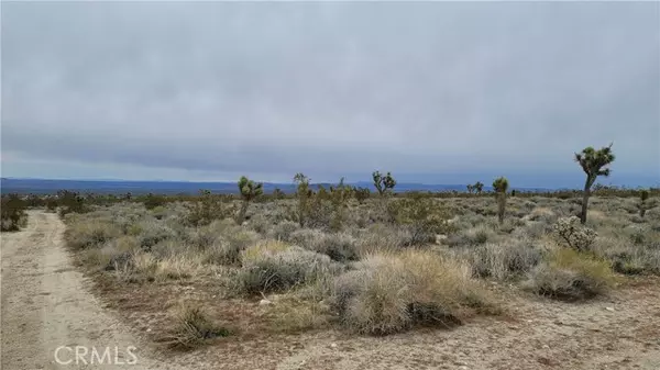 Llano, CA 93544,0 202nd St E & Ave X4