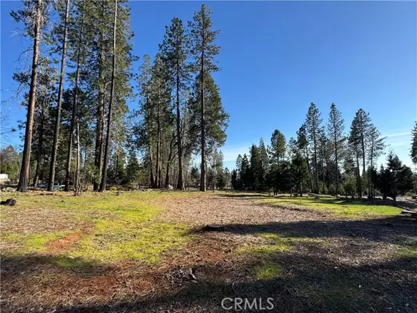 Magalia, CA 95954,13787 Curtis CT