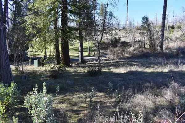 Berry Creek, CA 95916,20 Meadow LN