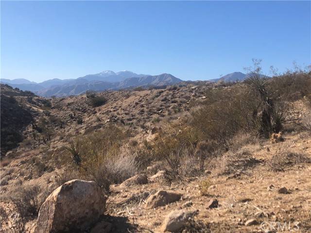 Yucca Valley, CA 92284,54575 Navajo TRL