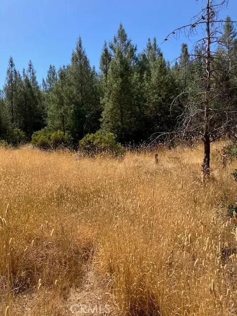 Bella Vista, CA 96008,0 Backbone RD