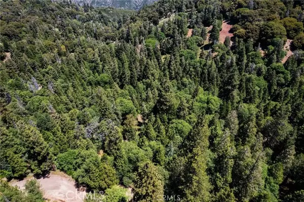 3430247 Mojave View DR, Cedarpines Park, CA 92322