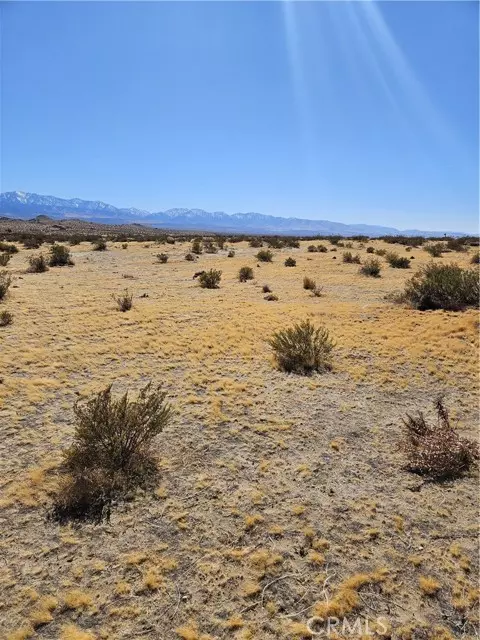 Palmdale, CA 93591,0 225th ST