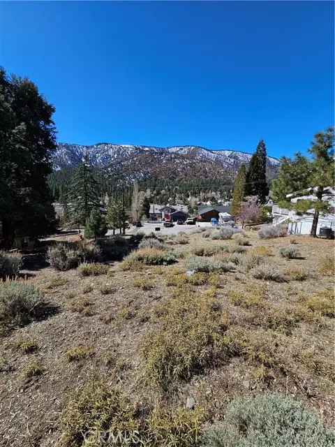 Wrightwood, CA 92397,0 Apple Vista DR