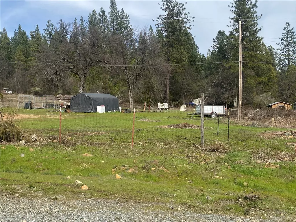 Brownsville, CA 95919,9159 Nero RD