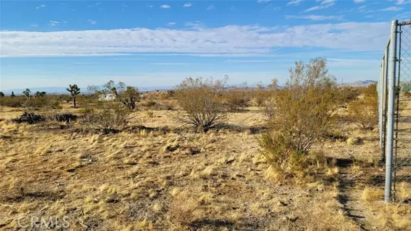 Llano, CA 93544,0 Ave W4 & 188th St E