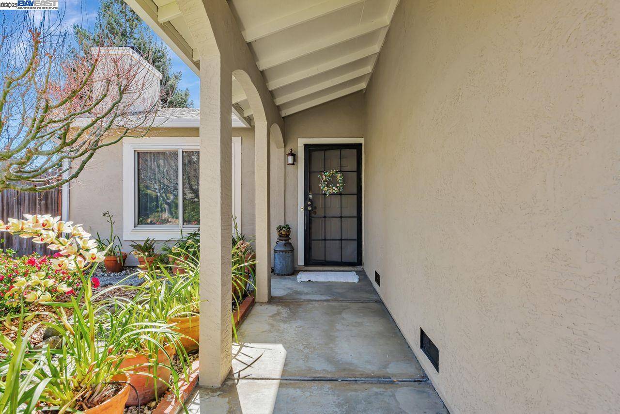 23185 Maud Ave, Hayward, CA 94541