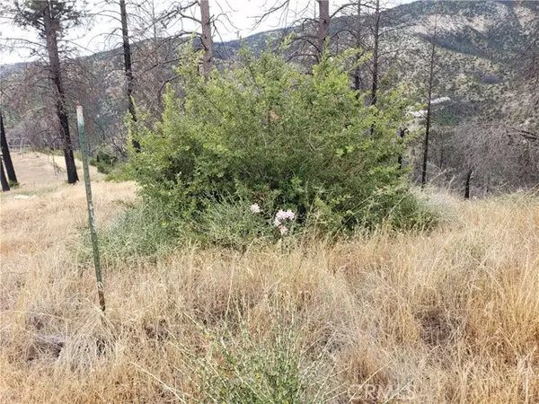 Berry Creek, CA 95916,0 Bean CRK