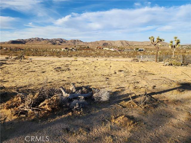 Joshua Tree, CA 92252,61329 Rocky Vista LN