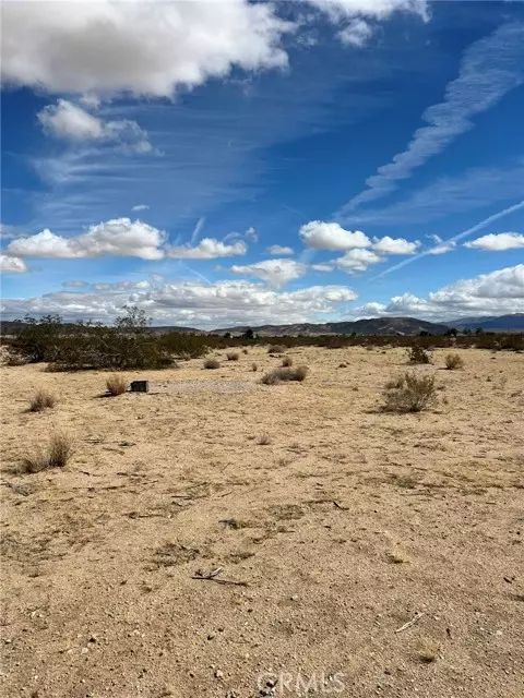 Joshua Tree, CA 92252,0 California AVE