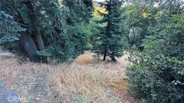 Berry Creek, CA 95916,0 Trillium WAY