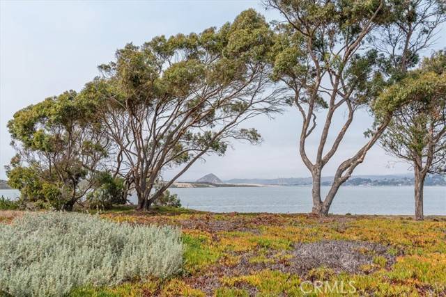 Los Osos, CA 93402,1924 Nevada CT