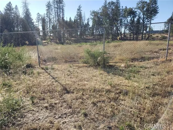 Paradise, CA 95969,8099 Skyway