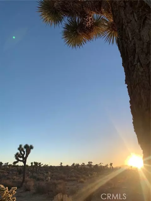 Yucca Valley, CA 92284,57816 Pajara RD