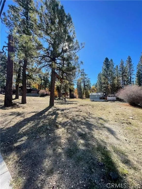 Big Bear Lake, CA 92315,40063 Big Bear BLD