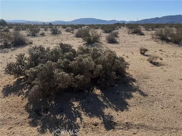 Twentynine Palms, CA 92277,3492 Meldora AVE