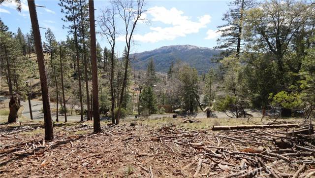 9686 Fox DR, Cobb, CA 95426