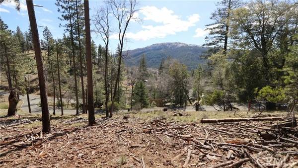 9686 Fox DR, Cobb, CA 95426