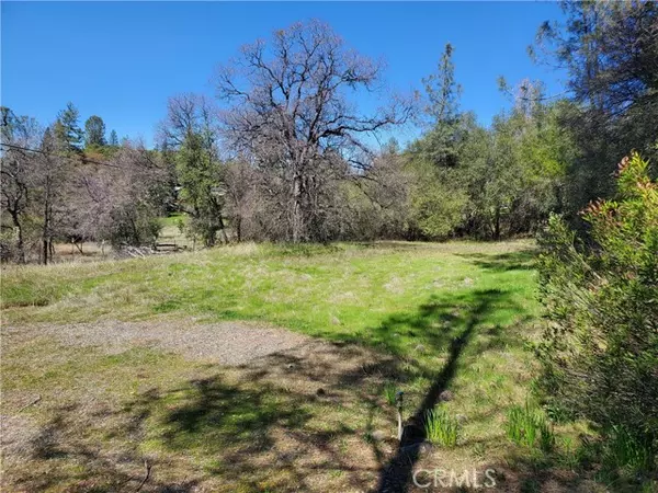 Oroville, CA 95966,520 Black Bart RD