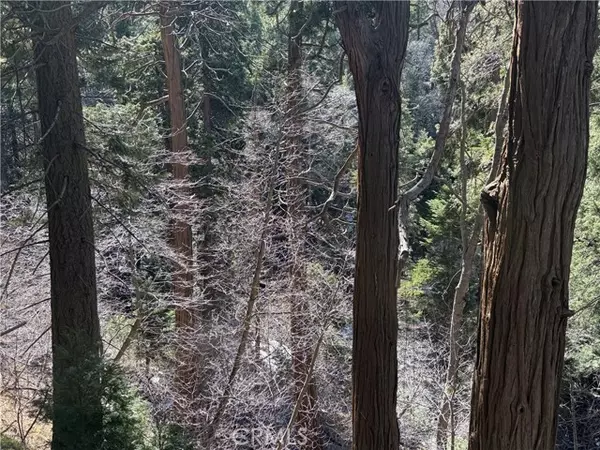 Lake Arrowhead, CA 92352,0 Sunderland CT