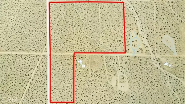 Johnson Valley, CA 92285,0 Datura