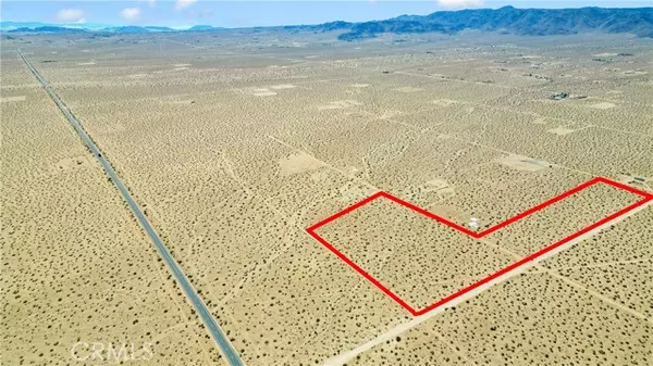 Johnson Valley, CA 92285,0 Datura