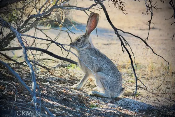 Joshua Tree, CA 92252,64755 Foothill DR