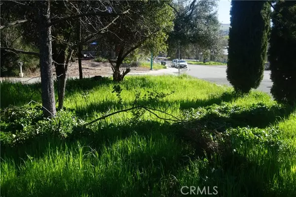 Clearlake Oaks, CA 95423,12546 Foothill BLD