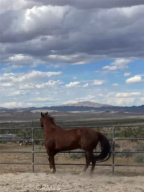 7077 Camp Rock RD, Lucerne Valley, CA 92356