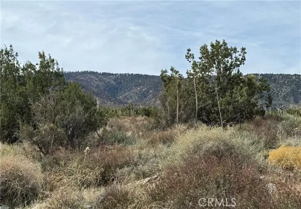 Llano, CA 93544,0 E Avenue Z
