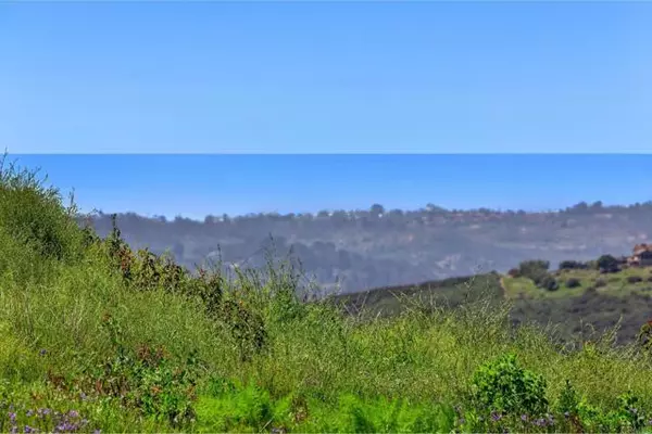 San Marcos, CA 92078,0 Golden Eagle