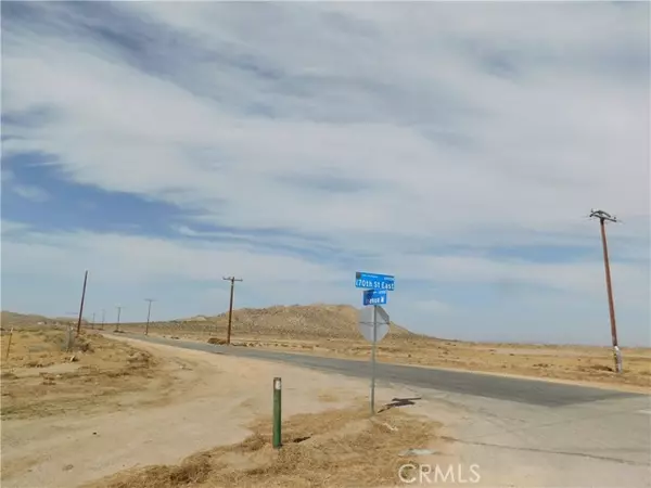 Lake Los Angeles, CA 93536,6 Avenue M