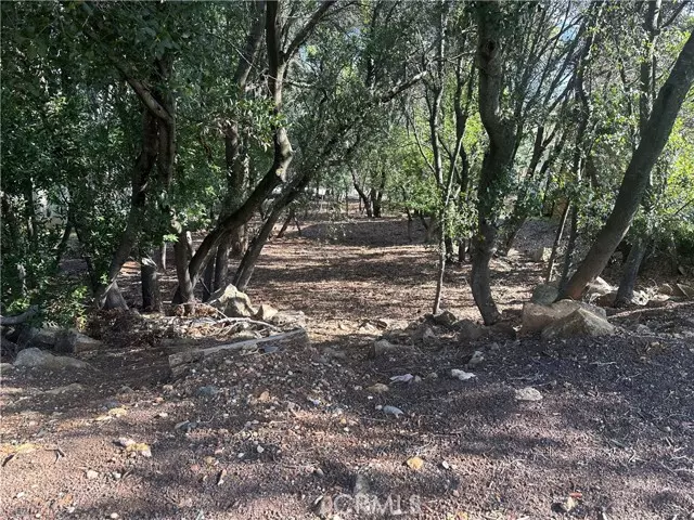 Kelseyville, CA 95451,3470 Shoreline View WAY