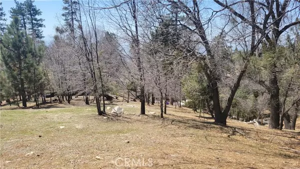 Running Springs, CA 92382,0 Winding WAY