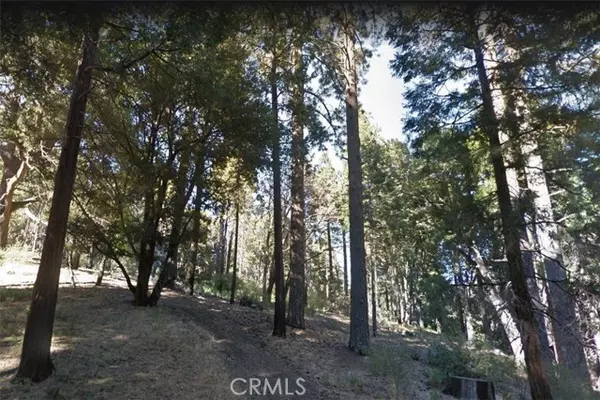 59 Mojave River RD, Cedarpines Park, CA 92322