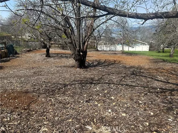 Kelseyville, CA 95451,3165 Marina View DR