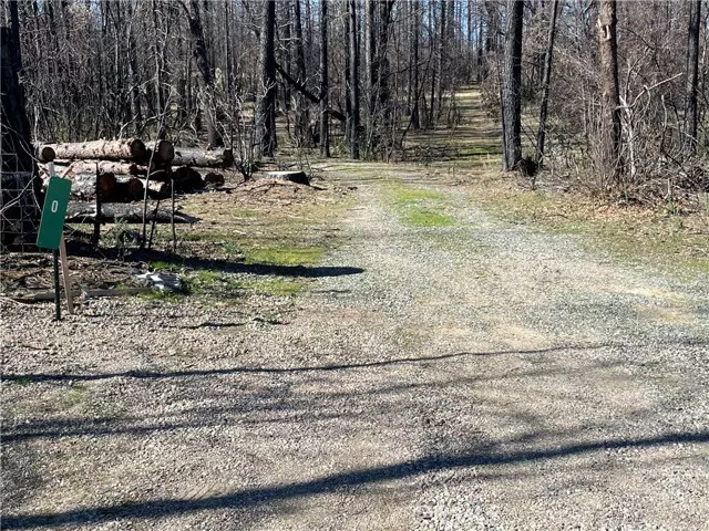 0 Shane CT, Berry Creek, CA 95916