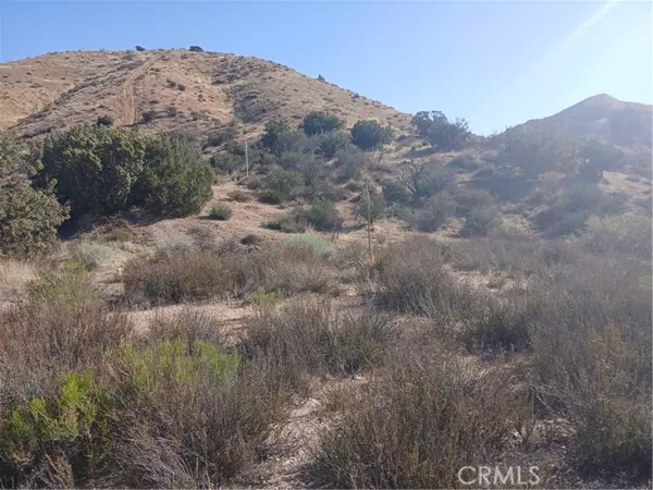 Acton, CA 93510,0 West Avenue Y - 8