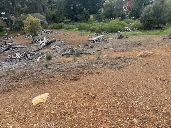 Kelseyville, CA 95451,3382 Pine Terrace DR