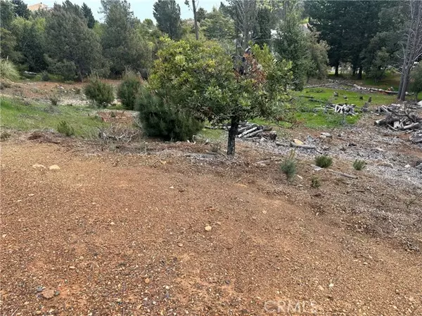 Kelseyville, CA 95451,3382 Pine Terrace DR