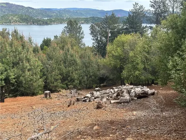 Kelseyville, CA 95451,3510 Knob Cone DR