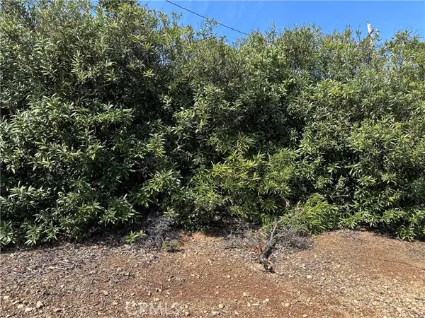 Kelseyville, CA 95451,3410 Riviera West DR
