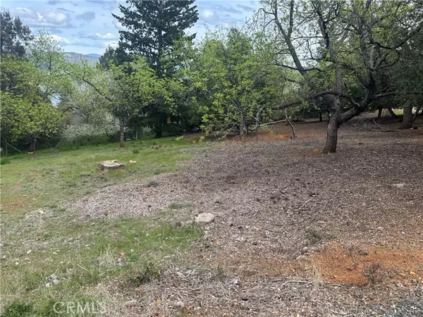 Kelseyville, CA 95451,3680 Greenwood DR