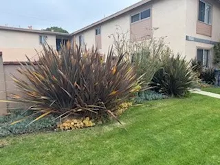 988 Valencia ST 4, Costa Mesa, CA 92626