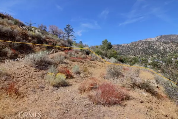 Frazier Park, CA 93225,0 Iowa Trl