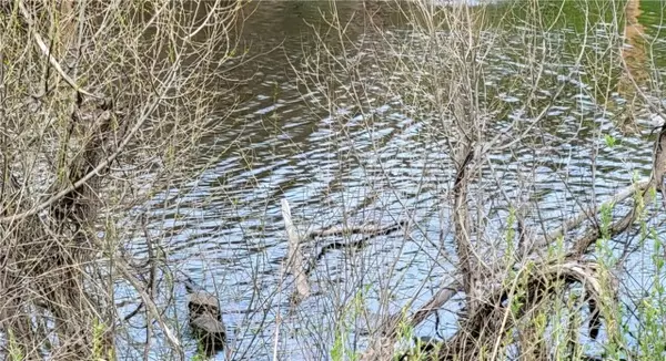 Clearlake Oaks, CA 95423,13488 Marina VLG